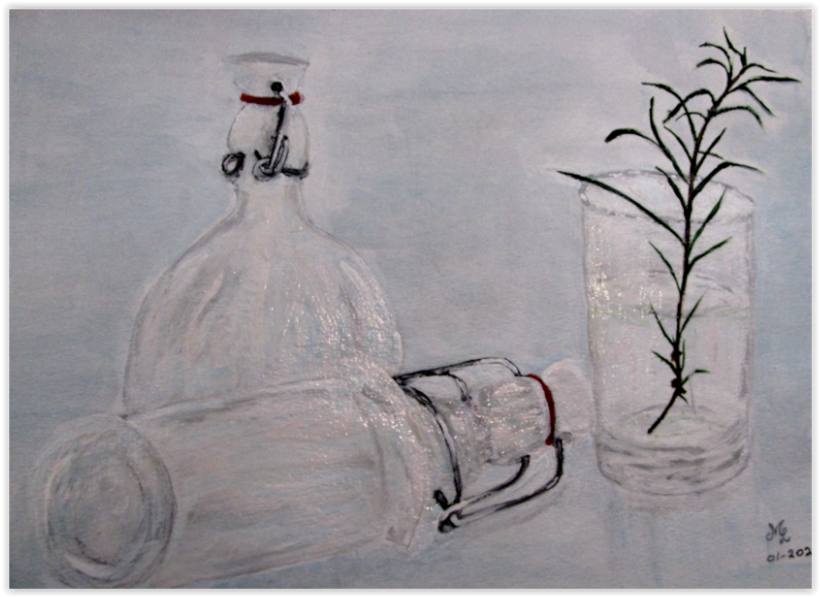 nature morte 2024